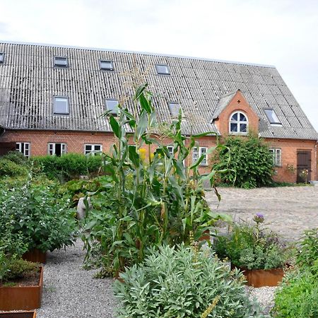 Lundsgaard Bed & Breakfast Fåborg Kültér fotó