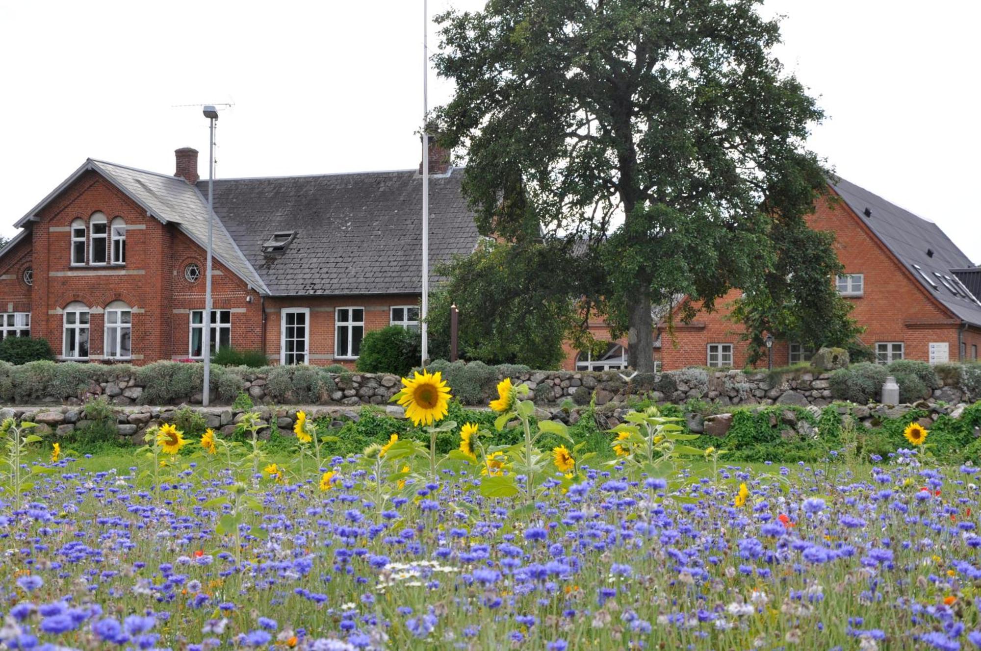 Lundsgaard Bed & Breakfast Fåborg Kültér fotó