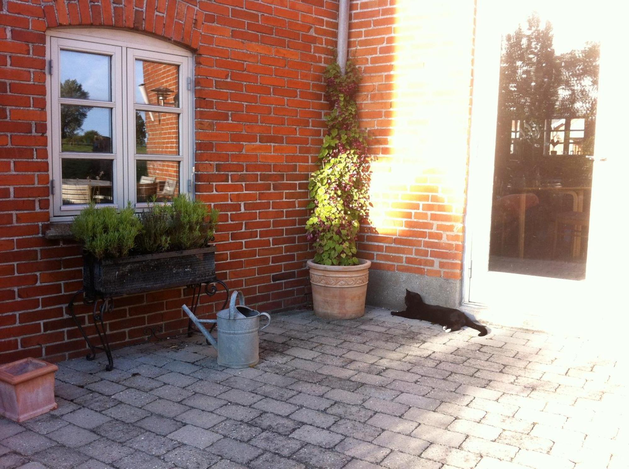 Lundsgaard Bed & Breakfast Fåborg Kültér fotó