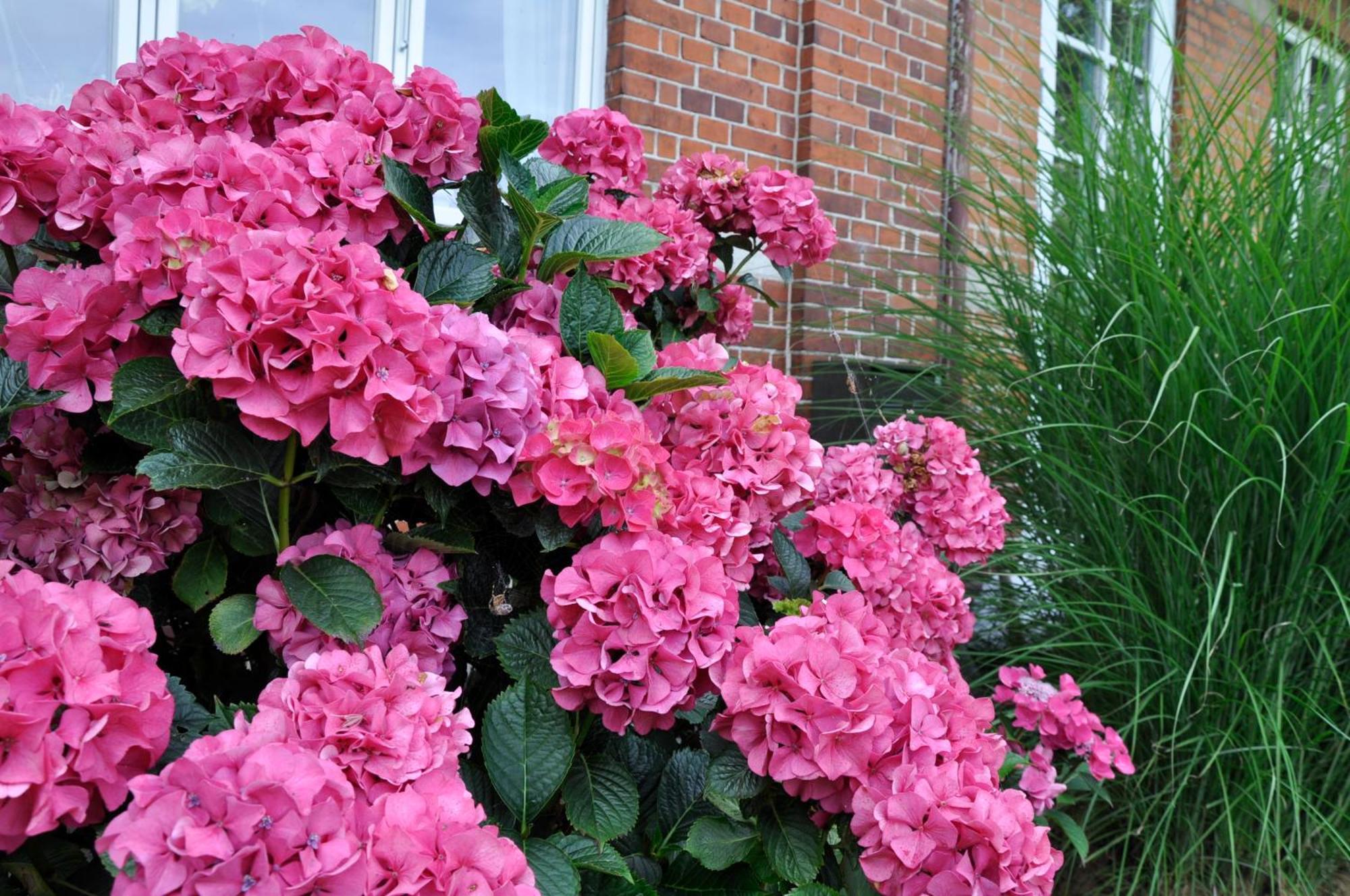 Lundsgaard Bed & Breakfast Fåborg Kültér fotó